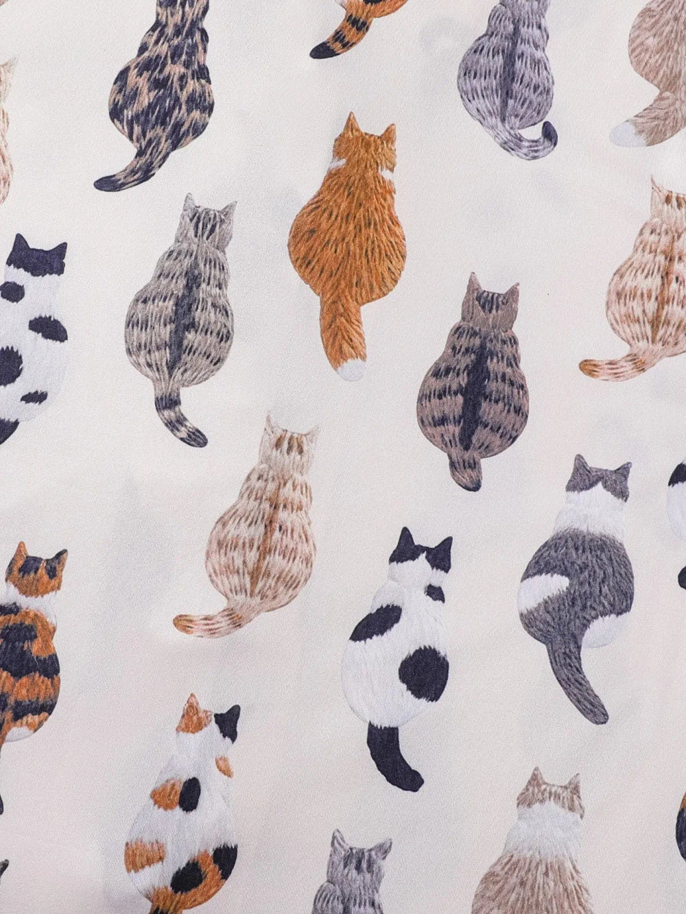 Cute Cat Print Pajama Set